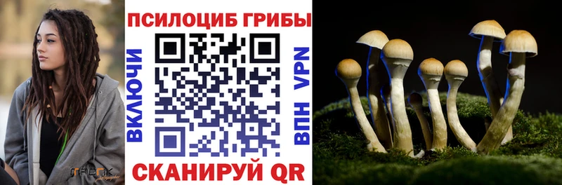 Псилоцибиновые грибы Psilocybine cubensis  Бикин 